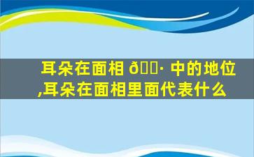 耳朵在面相 🌷 中的地位,耳朵在面相里面代表什么